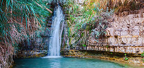 Location de voiture en Israël : voyage et détente à Ein Gedi