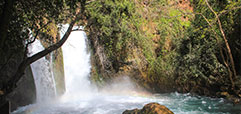 Voyage en voiture sur le Golan de Banias à Orach